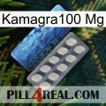 Kamagra100 Mg 34